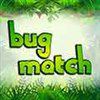 Play Bug Match 2