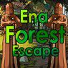 Play  Ena Forest Escape