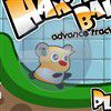 Play Hamster Ball