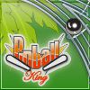 Pinball King A Free Action Game