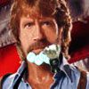 Play Shave Chuck Norris