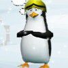 Play Penguins castle