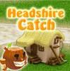 Play Headshire Catch