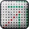 Play Baseball Word Search