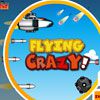 Play Flying Crazy