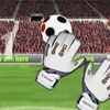 Play Goalkeeper