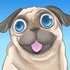 Play Pug the dog