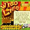 Wild Life Puzzle