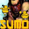 Play Sumo-BZ by yesgamez.com