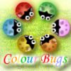 Play Colour Bugs