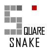 Play Square Snake