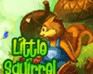 Play Irutia: Little Squirrel
