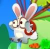 Flying Rabbit A Free Action Game