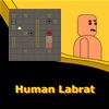 Human Labrat