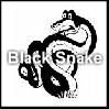 Play Black Snake