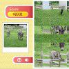 Play Row Puzzle - Donkey