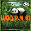 Lucky Pandas A Free Casino Game