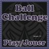 Play Ball Challenge