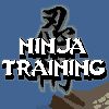 Play Ninja Training
