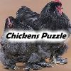 Play Chickens Puzzle