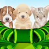 Play Puppy and Kitten Caring Game