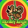 monkey jungle