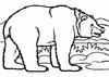 Play Bears -1