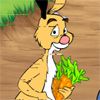 Play Fun with Rabbit game