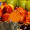 Play Hidden Pumpkins Market