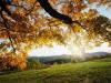 Puzzle Natural landscapes - 1