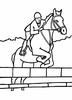 Equestrian sports -1