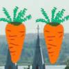 Play Hidden Carrots Liepaja