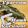 Sparrow Hawk Survivor