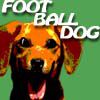 Play FootballDog