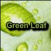 Play Green Leaf