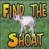 Find the Shoat A Free Puzzles Game