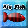 Play Big Fish