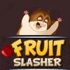 Play Fruit Slasher
