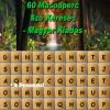Play 60 Second Word Search - Hungarian Edition
