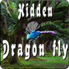 Play Hidden Dragonfly