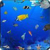 Play Color Fishes