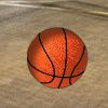 Play True Basketball