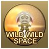 Wild Wild Space