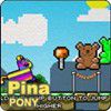 Pina Pony