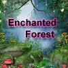 Enchanted Forest