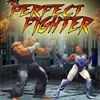 Play The Perfect Fighter 1.0