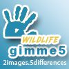 Play gimme5 - wildlife
