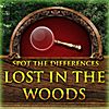 Play Lost in the Woods (Spot the Differences Game)
