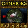 Play Canaries in a coalmine - Bird Spotting
