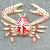 Play Crab Attack